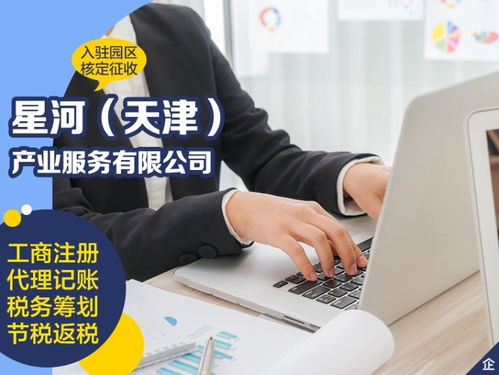 天津武清區(qū)優(yōu)質代理記賬公司與軟件開發(fā)服務推薦